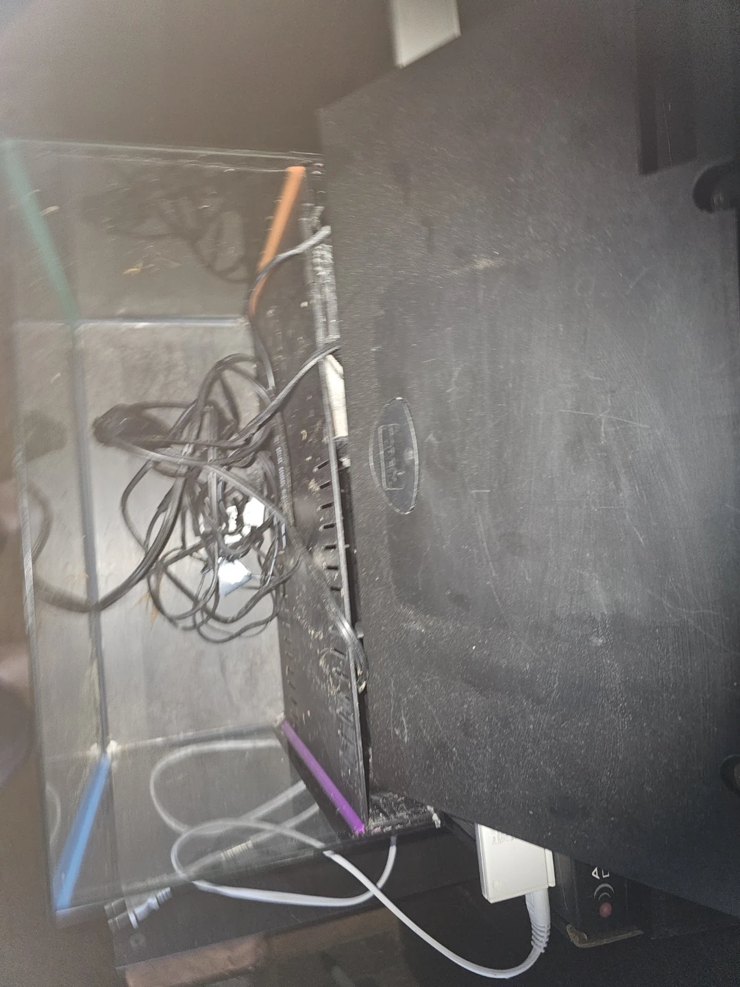 7 gallon neon fish tank - photo 4