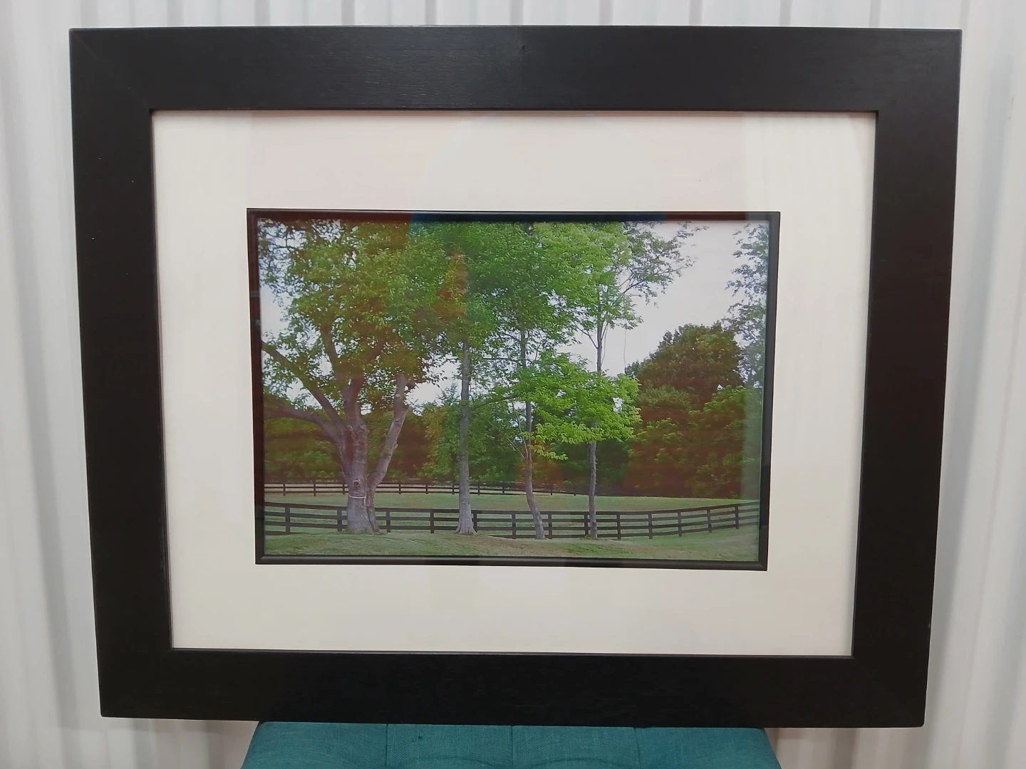 Framed Landscape Picture with Trees and Fence