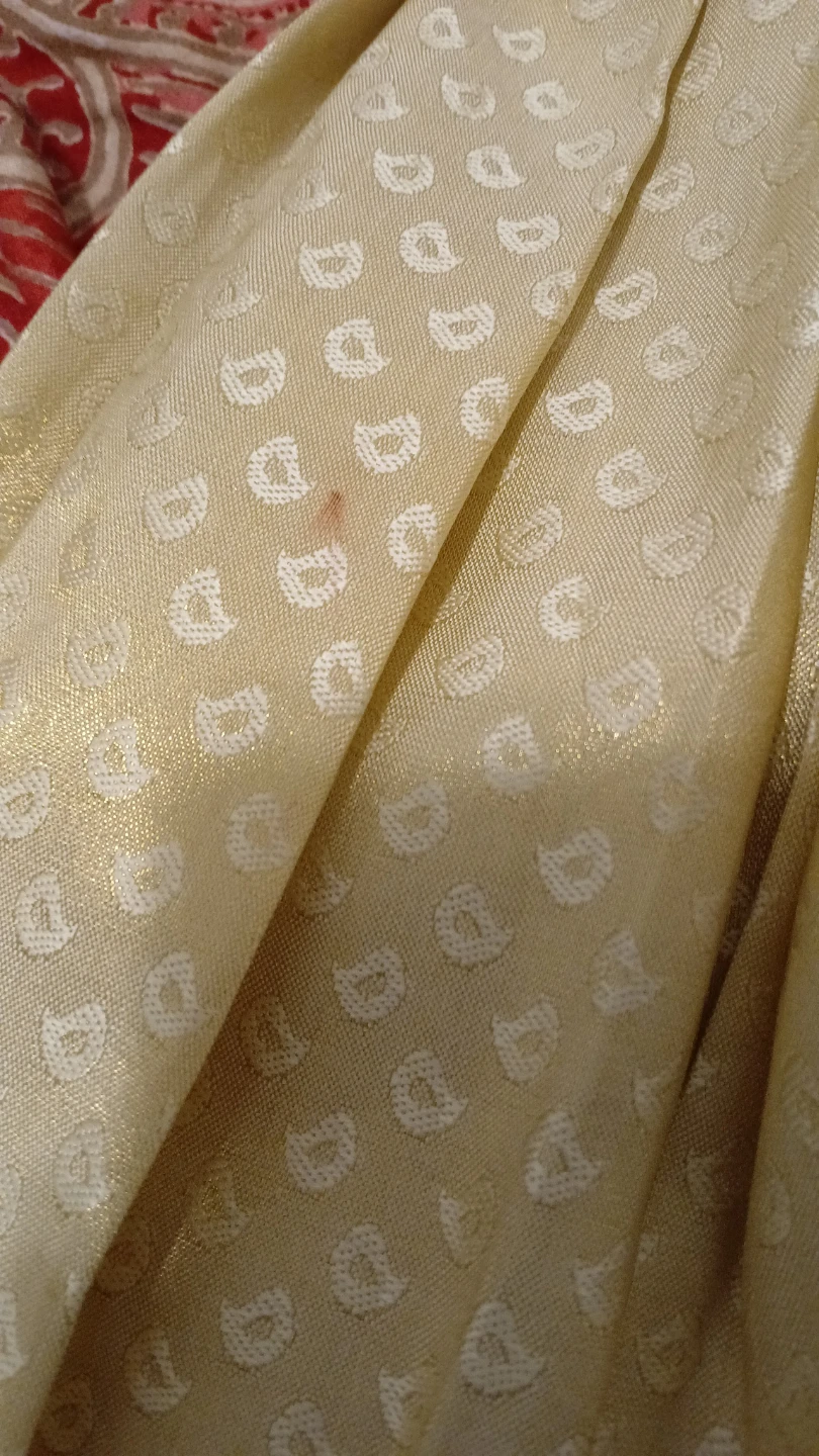 Gold Brocade Skirt and Top Set - photo 3