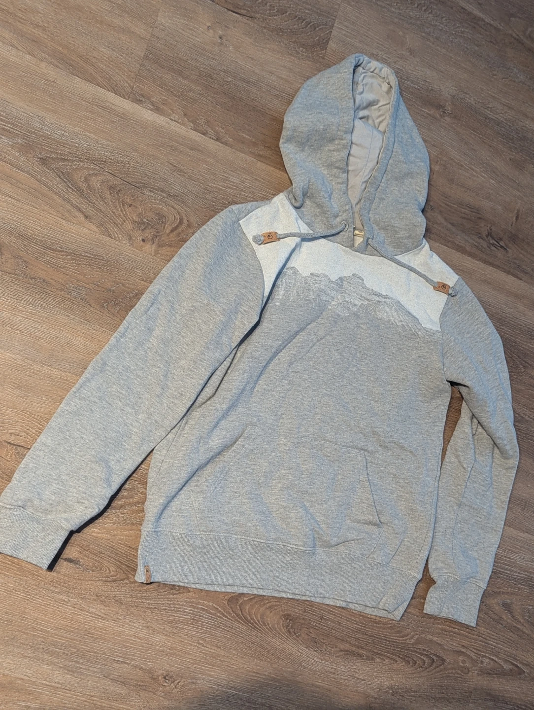 Tentree Grey Mountain Hoodie