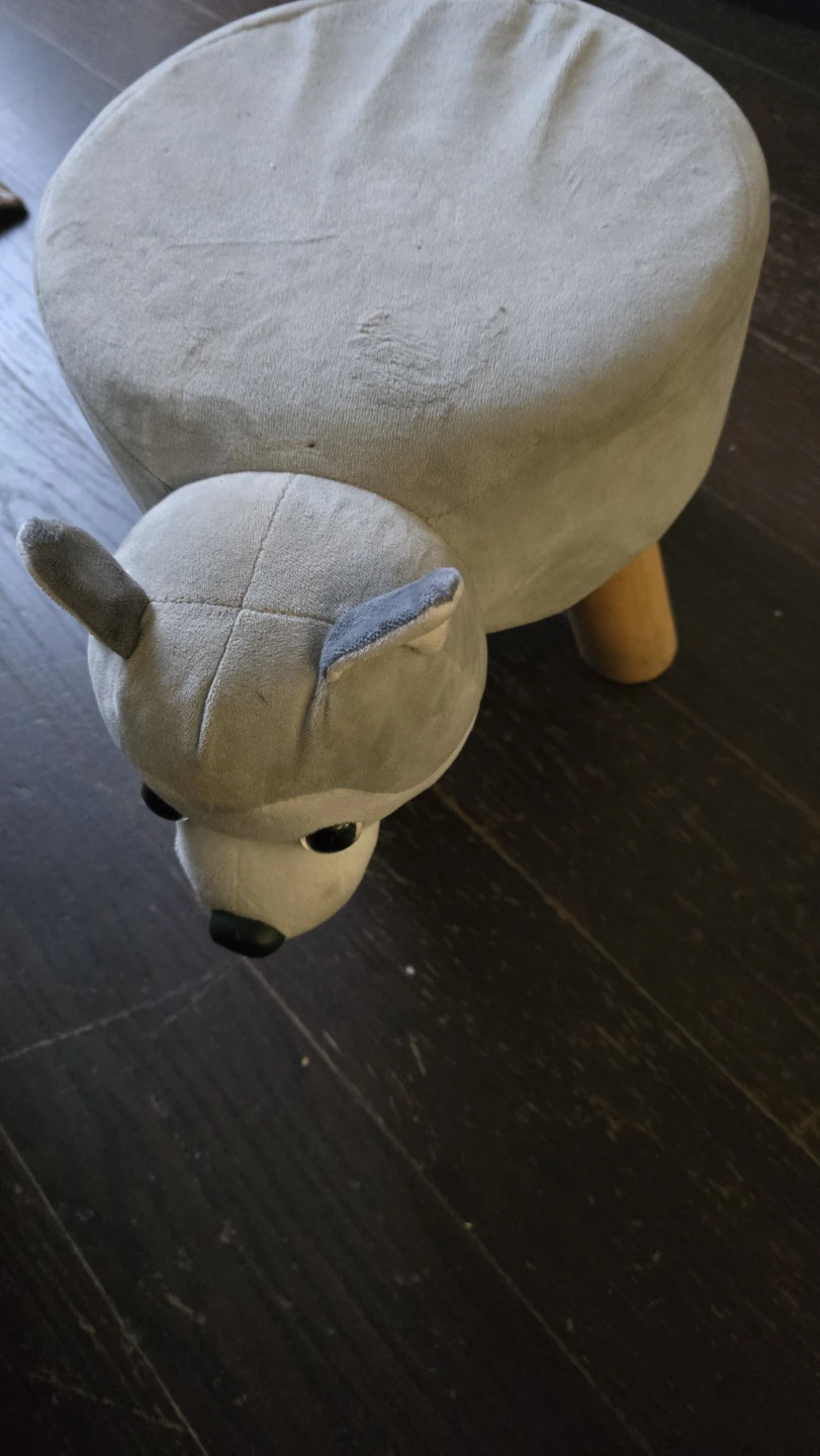 Pet stool