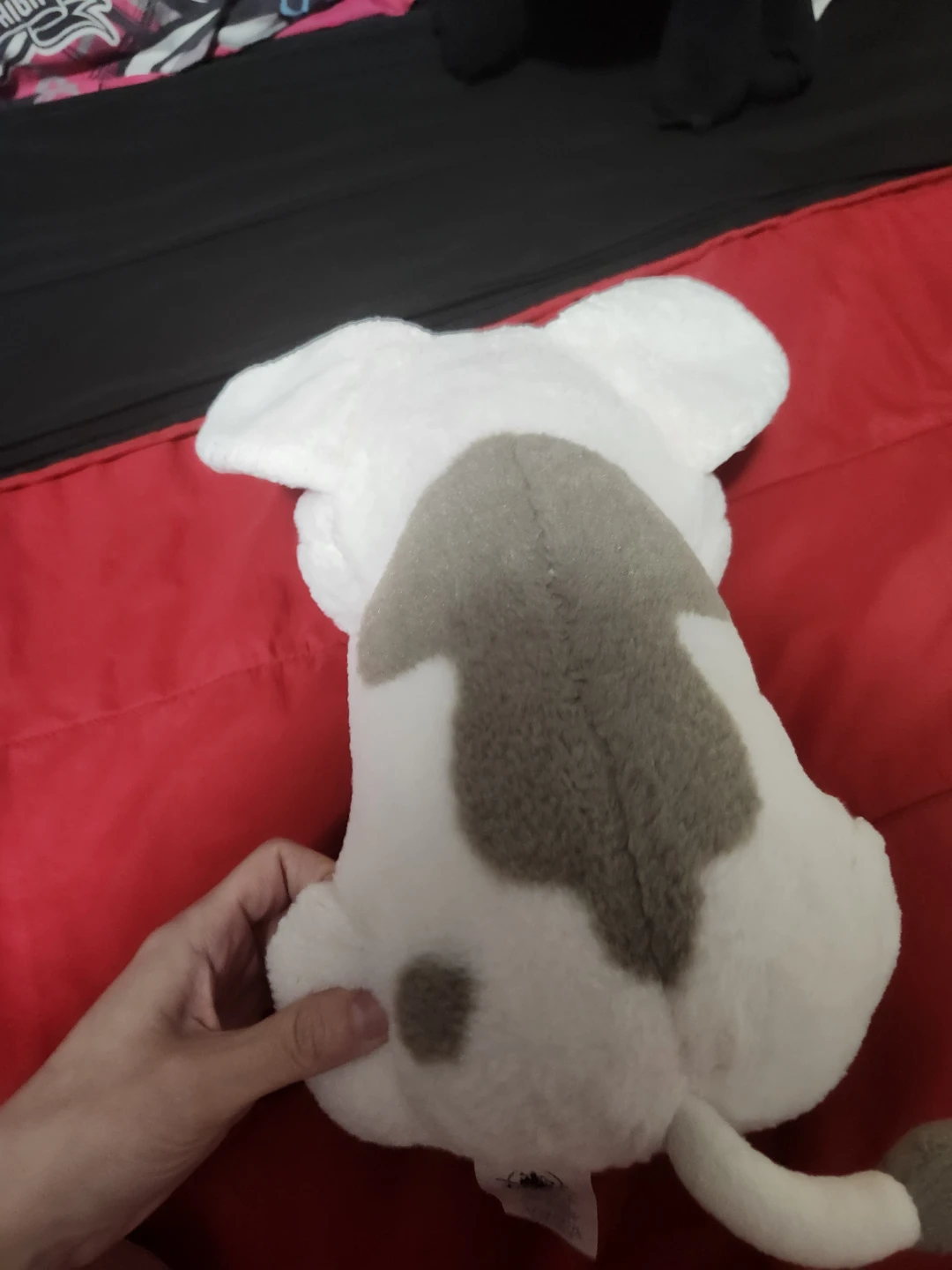 $20 moana pig plush - photo 2