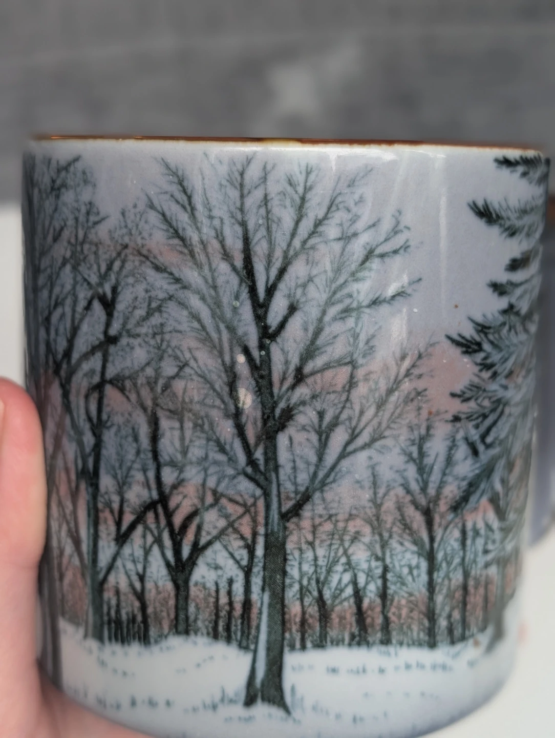 Pair of vintage Otagiri Japan mugs - winter trees & seagulls - photo 5