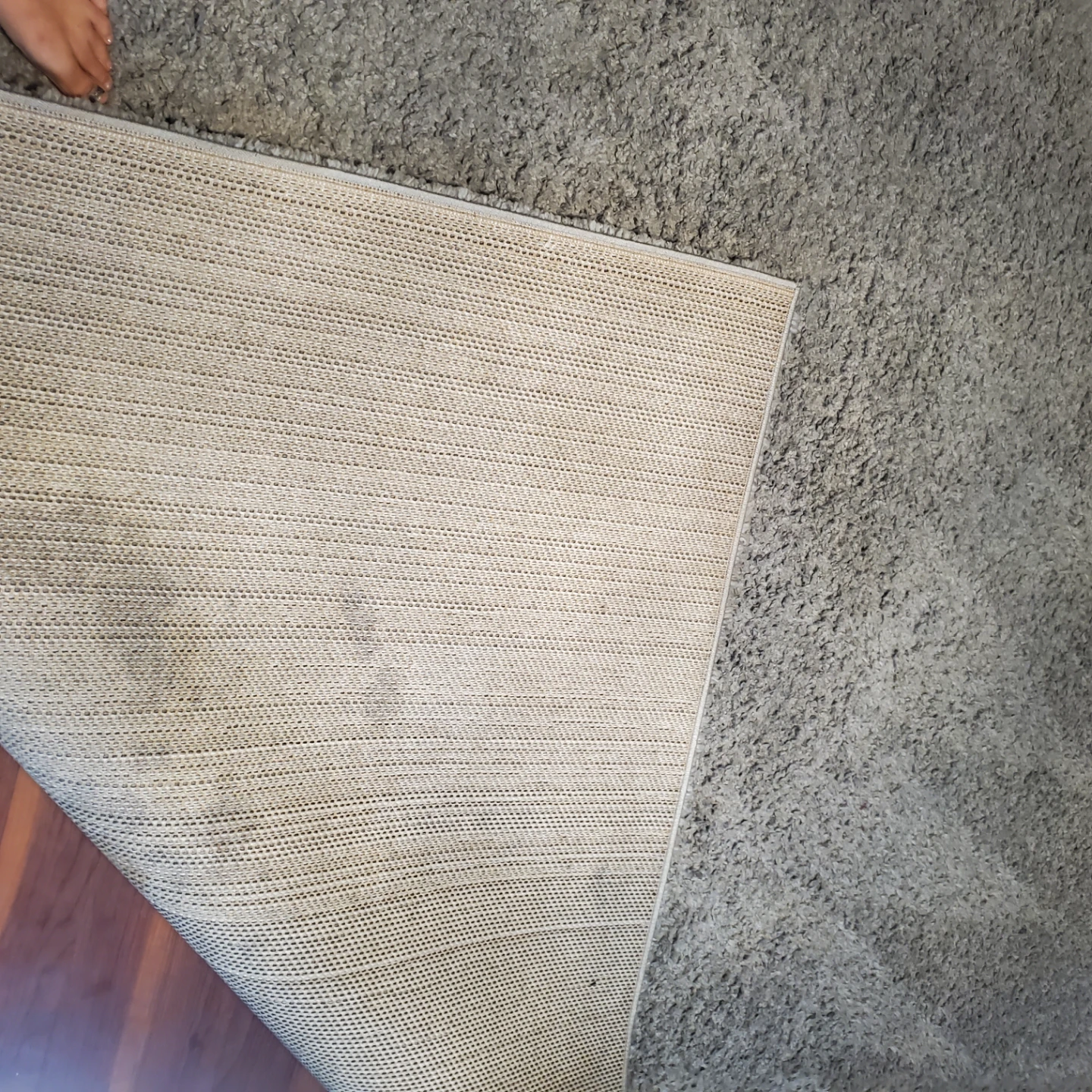 Cam Livington Super Soft Shag Area Rug - photo 2