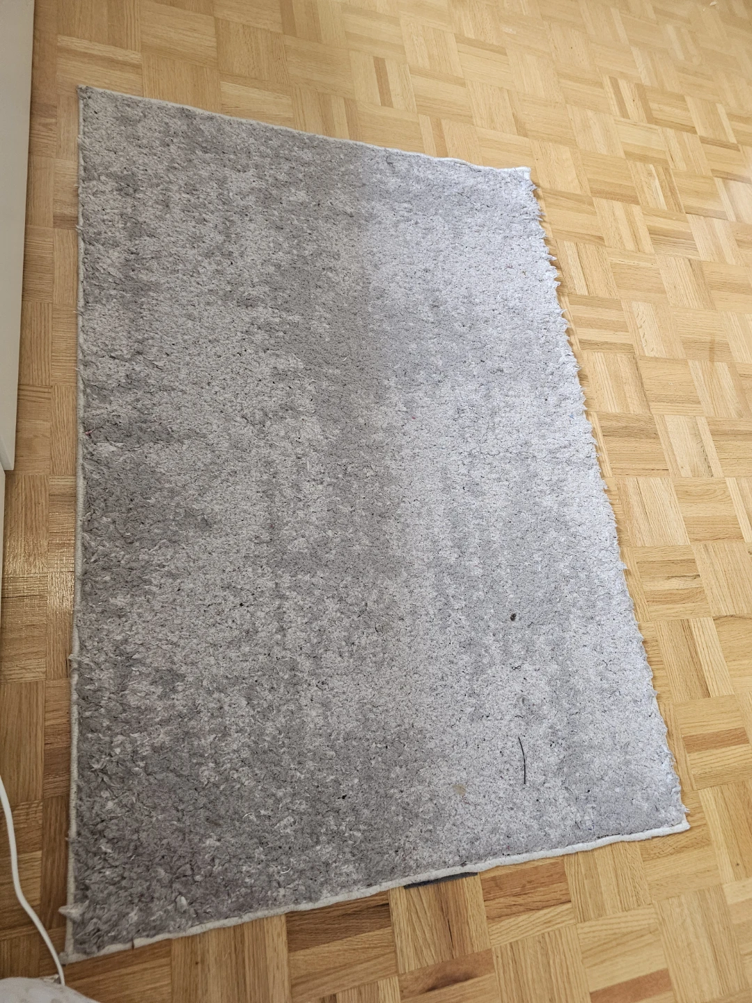 Grey Shag Rug