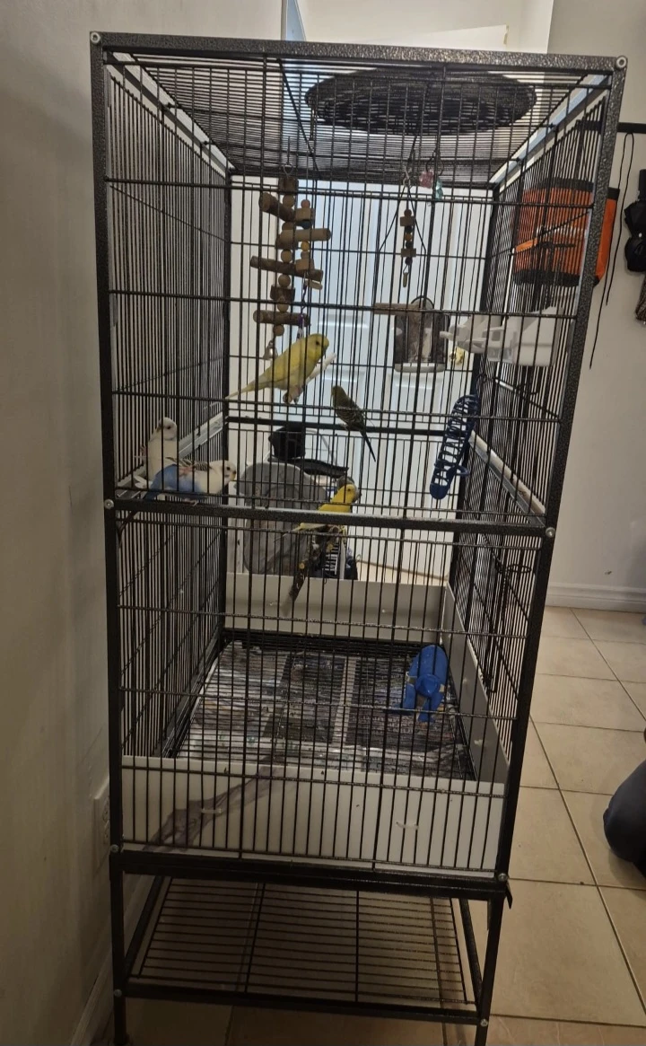 Large Bird Cage with Perches and Toys - photo 4