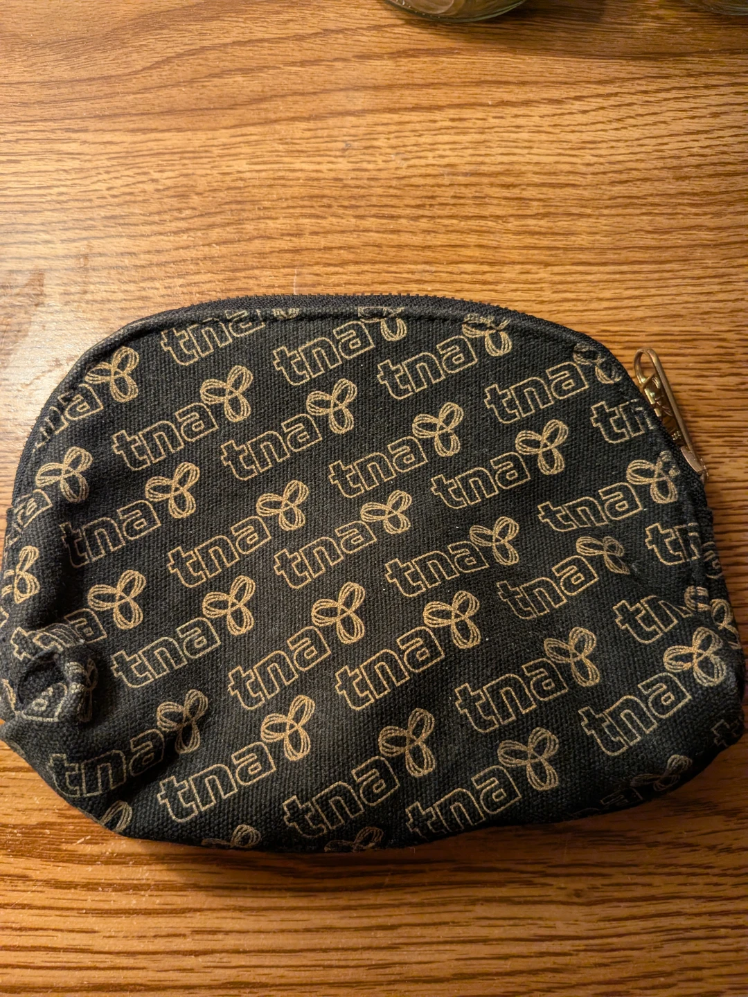 Aritzia pouch