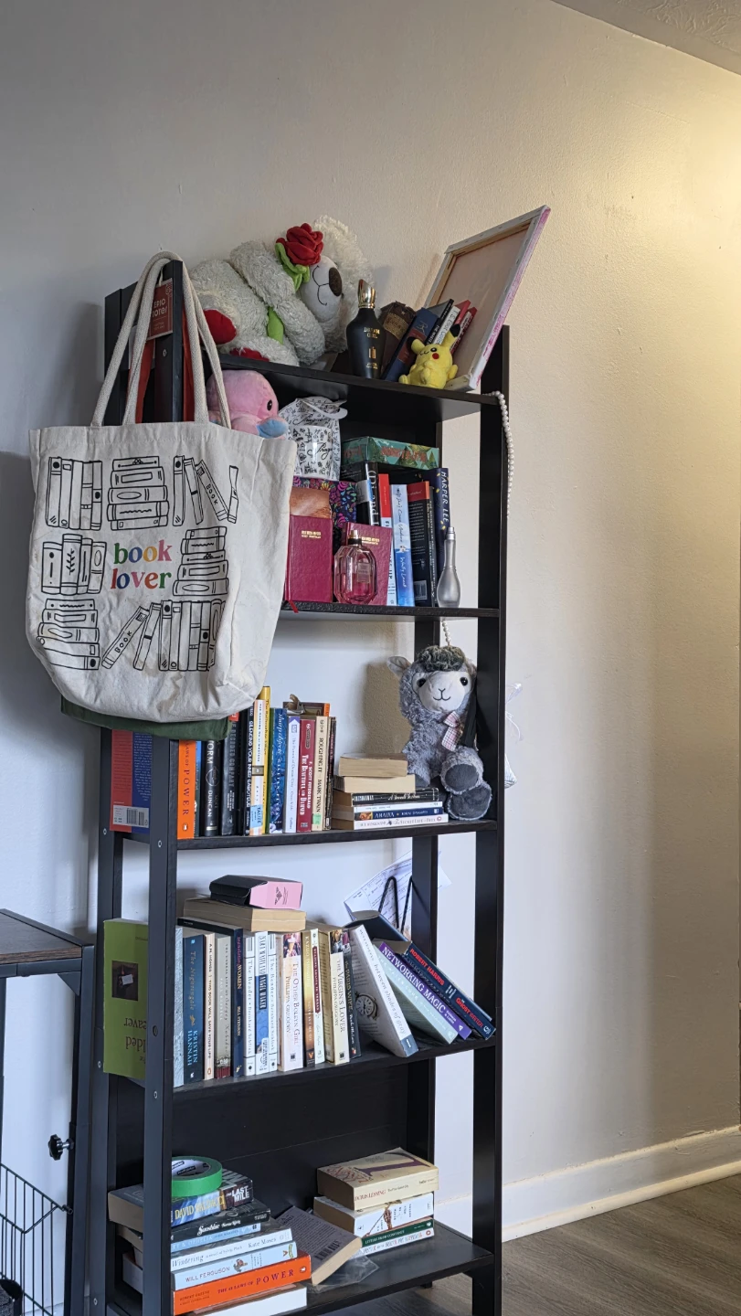2× IKEA Bookcase / Shelf Unit Lavia - photo 3