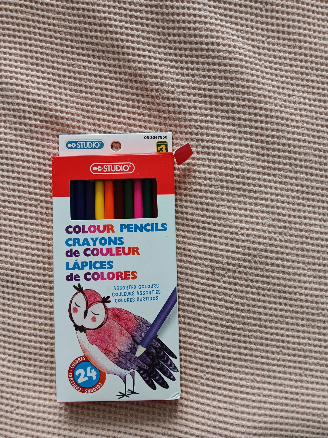 Studio Colour Pencils - 24 Assorted Colours