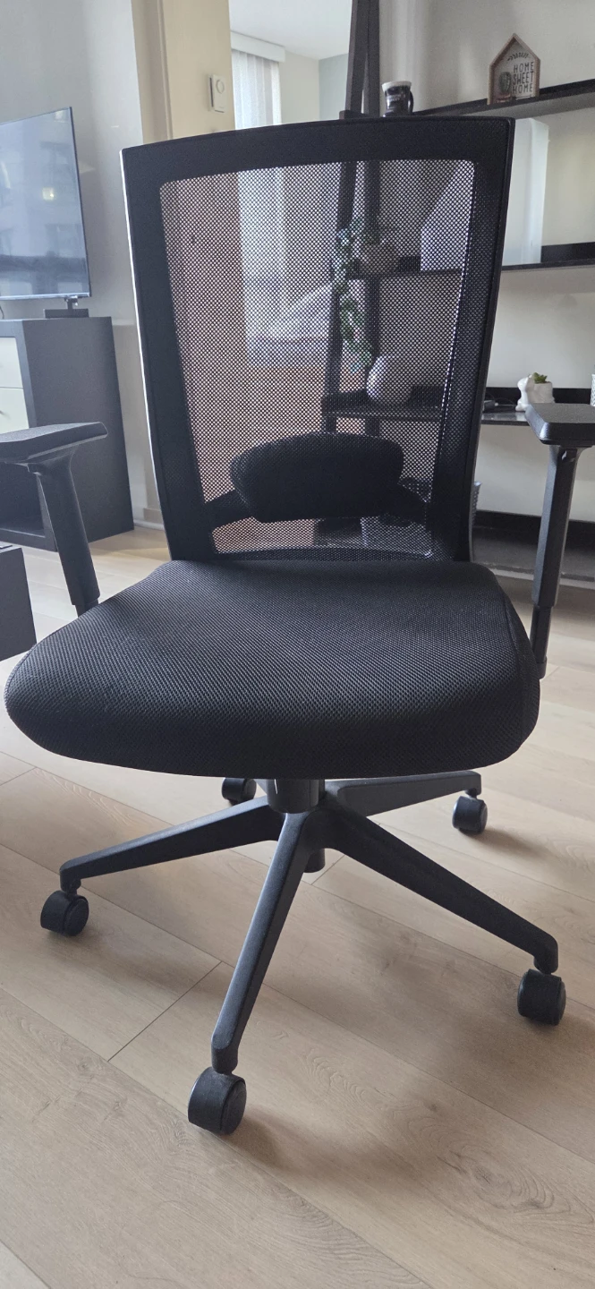 Black Mesh Ergonomic Office Chair