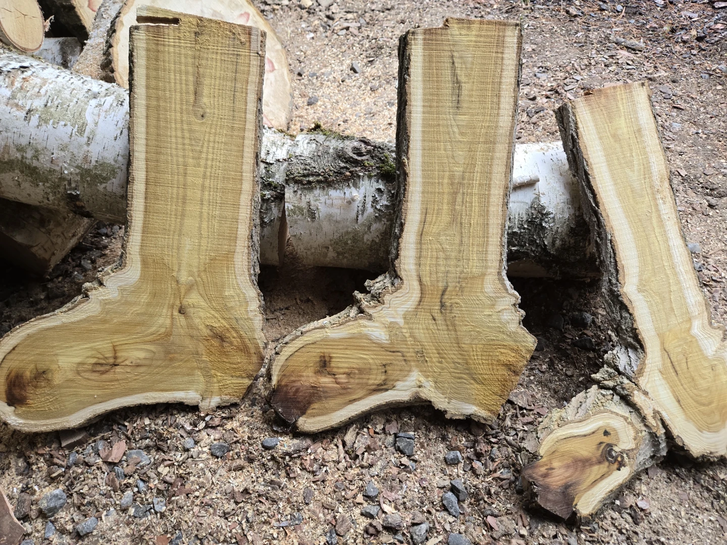 Wooden slabs and rounds available in Pickering - photo 2