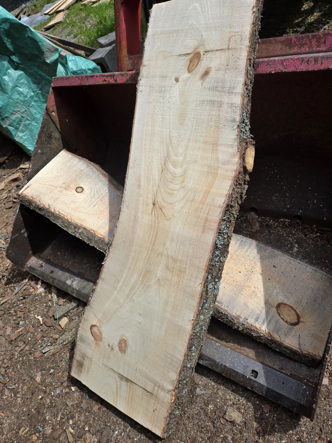 Wooden slabs and rounds available in Pickering - photo 5