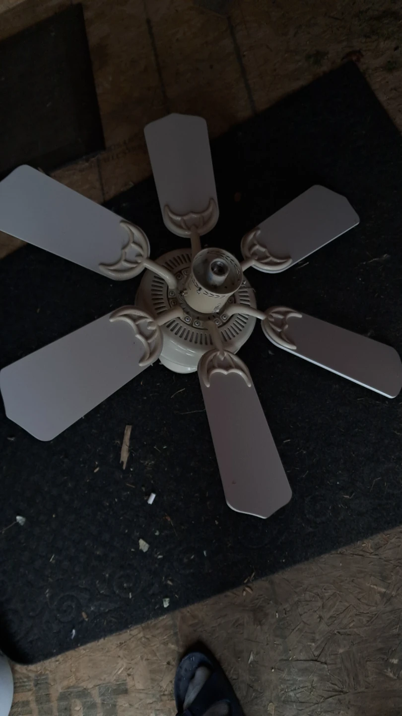 Ceiling Fan