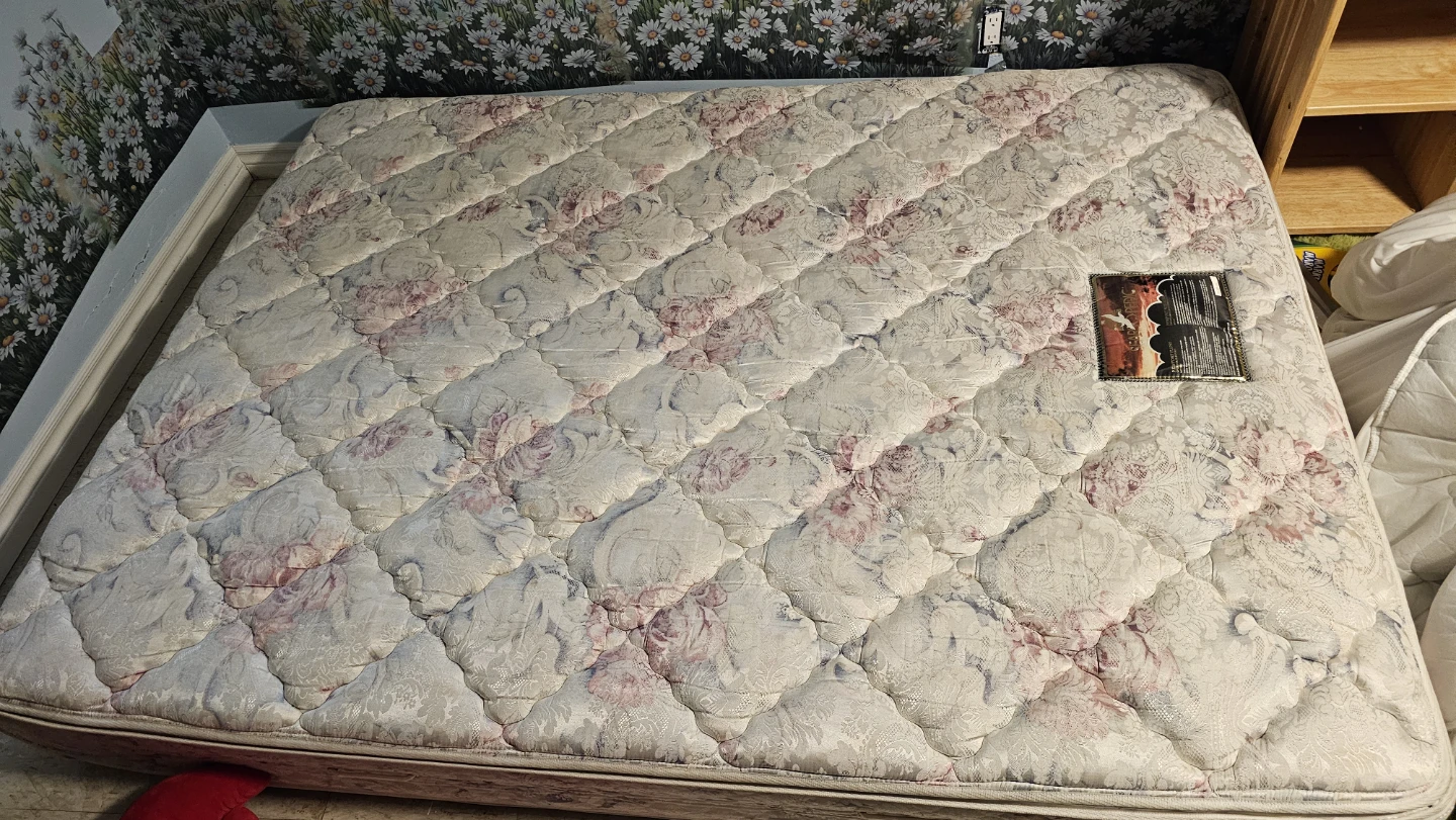 Free Queen sized Searsopedic Open Coil Sleep Set Mattress