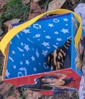 Wonder Woman Halloween Box
