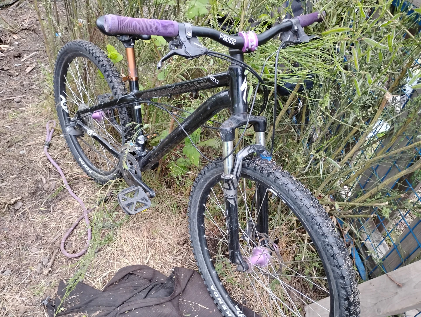 Black Mountain Bike - photo 3