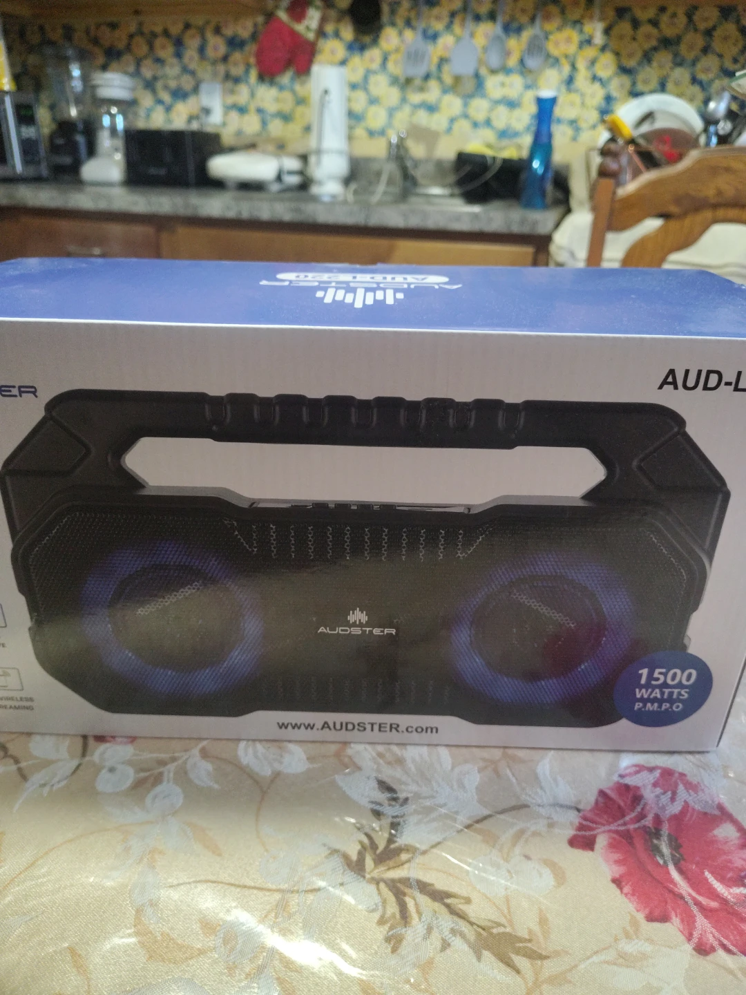 Audster AUD-L320 Portable Bluetooth Speaker