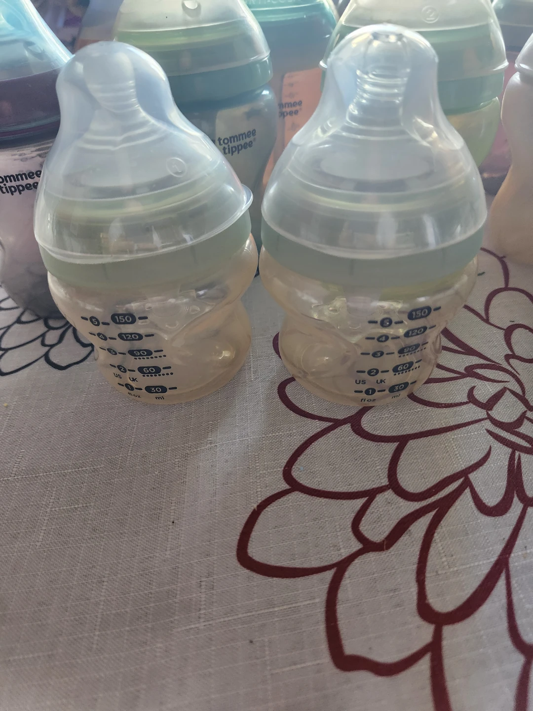 Tommee Tippee Baby Bottle Sterilizer and Bottles Bundle - photo 2