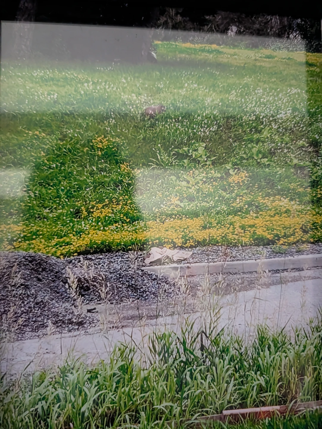 Framed Landscape Photo