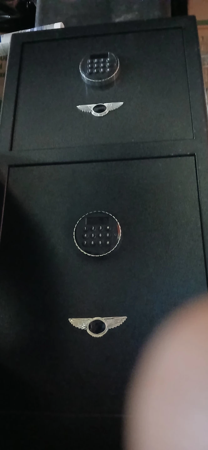 Stackable Digital Lock Safes with Wings Emblem