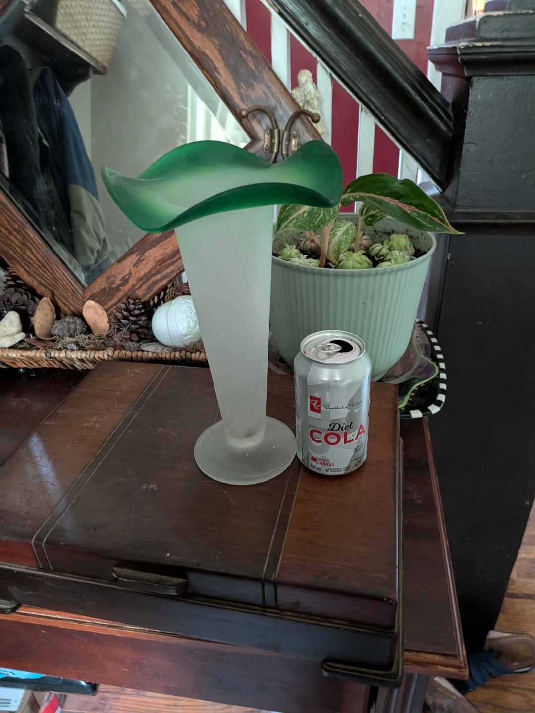 Frosted glass vase with green rim. Jack in the pulpit.