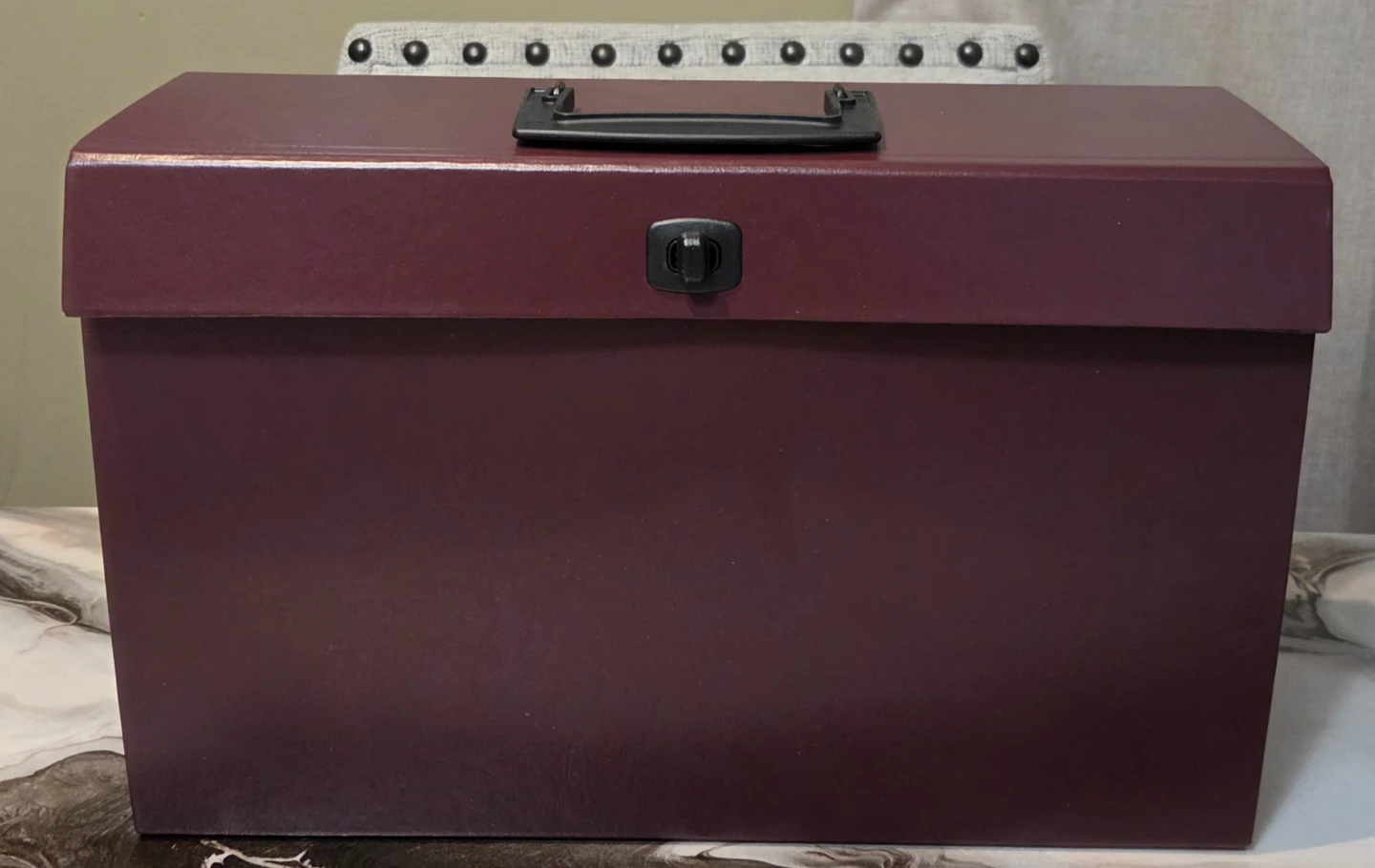 Portable File Organizer Box (new)