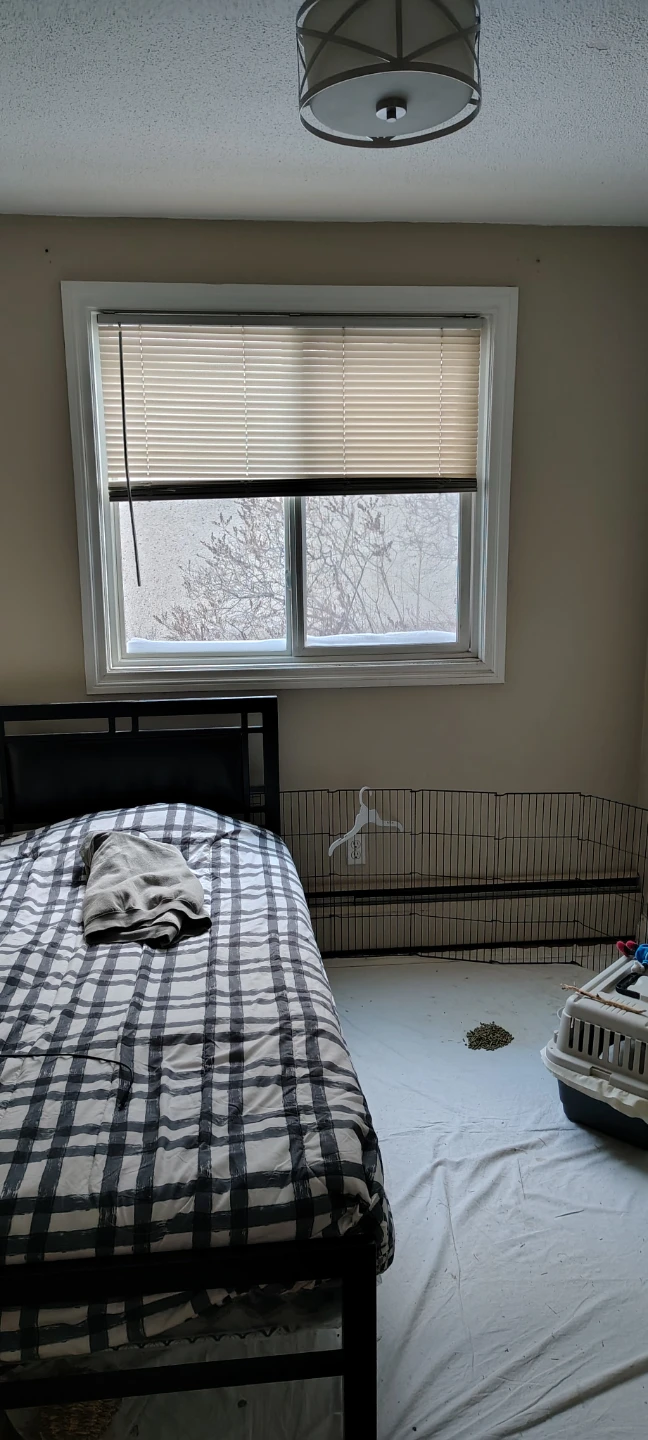 2nd floor Apartment for rent - photo 4