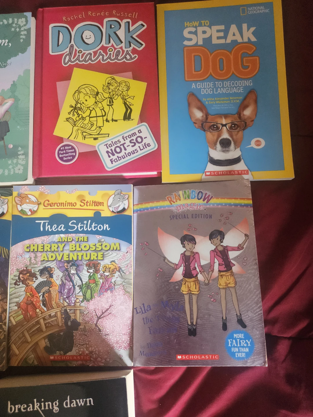Assorted Young Adult and Children's Books - photo 4