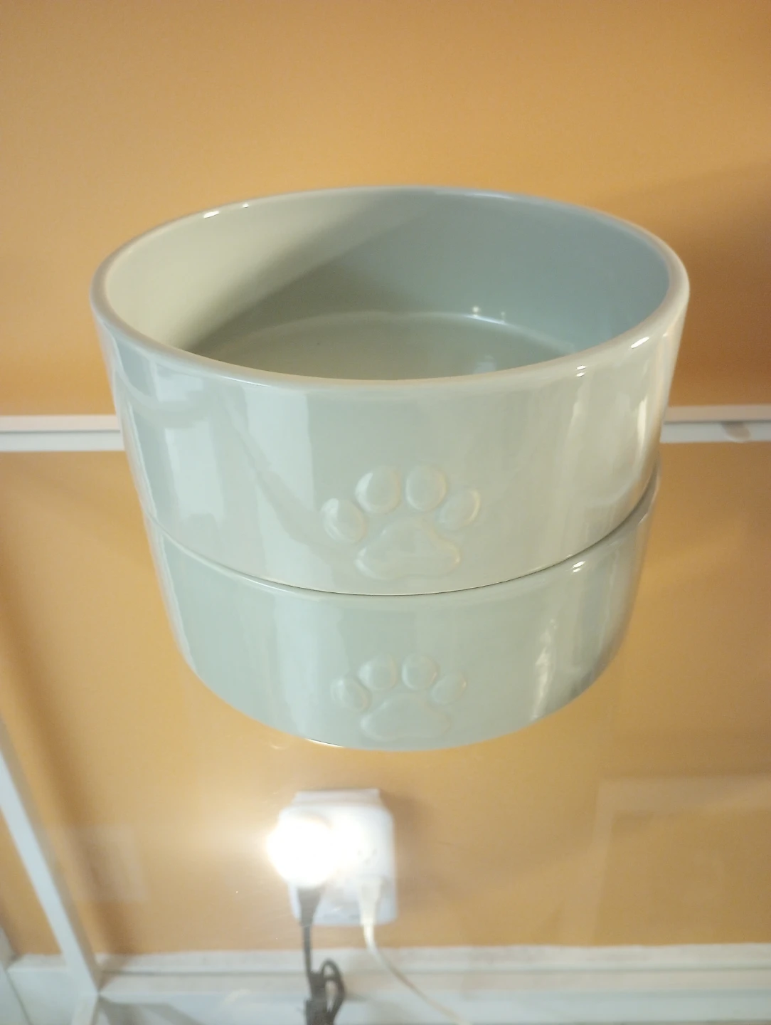Dexy Paws Large Ceramic Dog Bowls