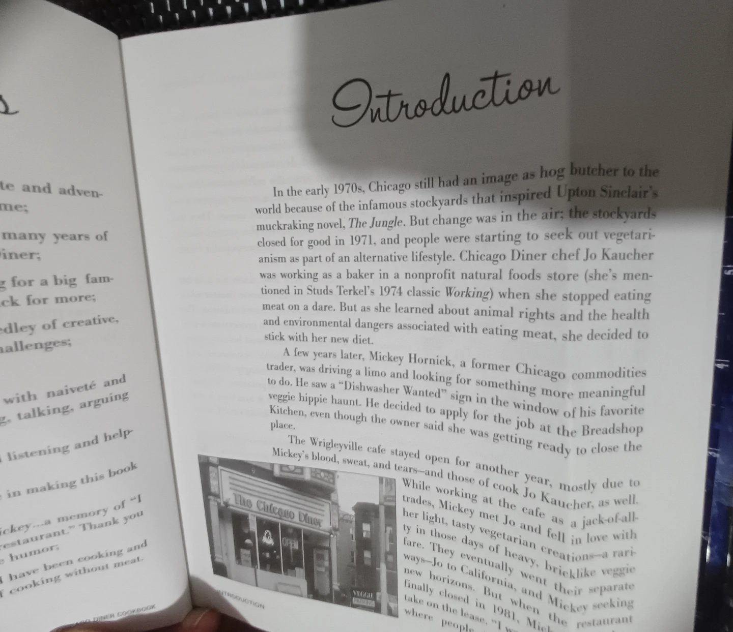 FREE: The Chicago Diner Cookbook: Vegan & Vegetarian Recipes - photo 4