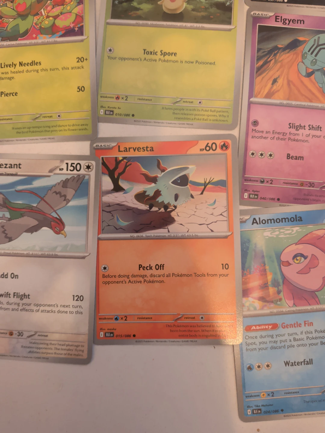 Pokemon Card Lot