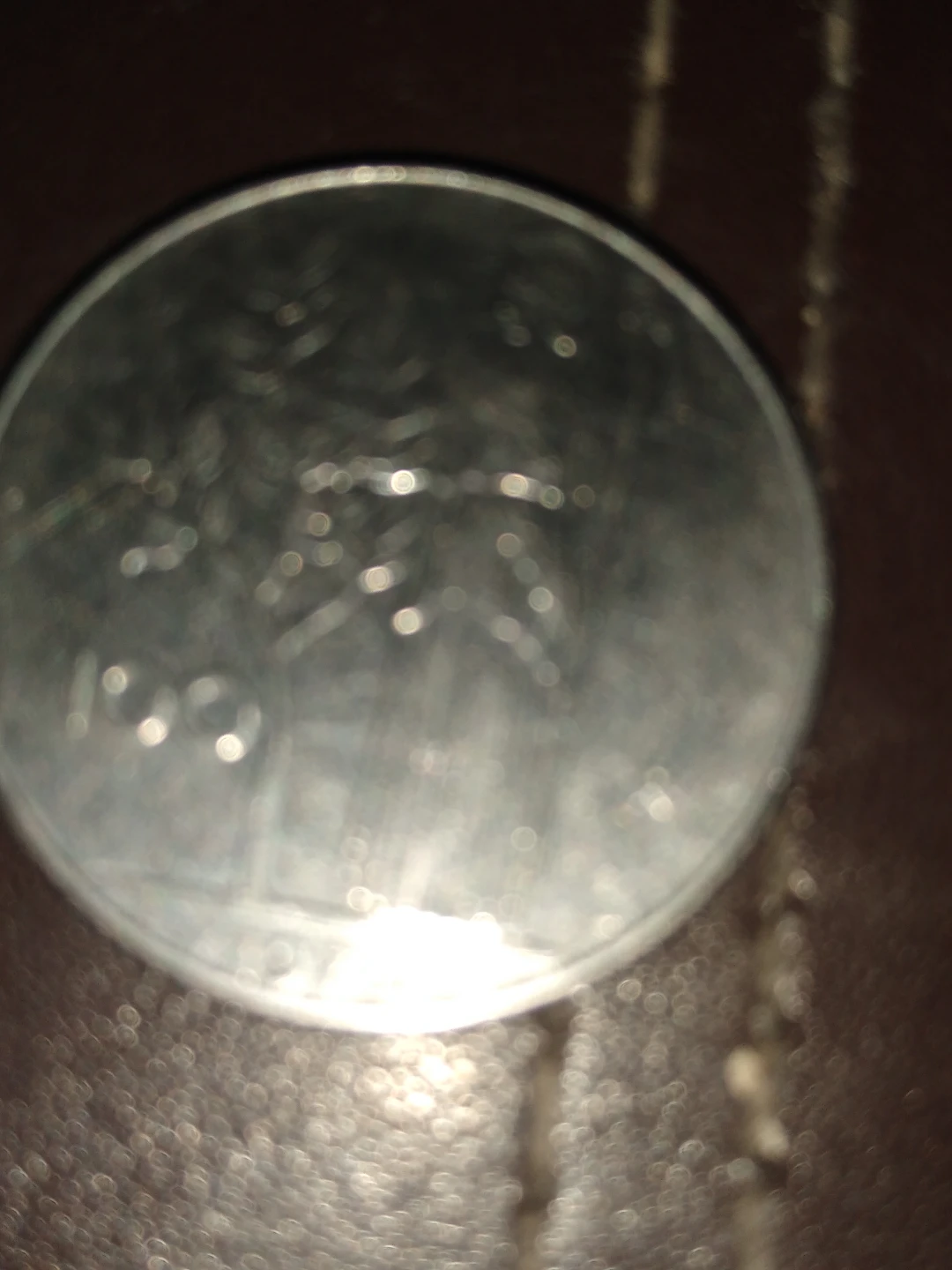 100 lira coin from 1976 Italian