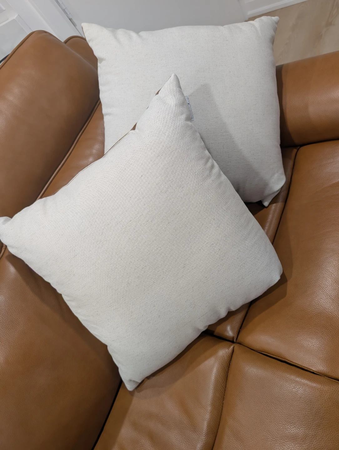 Decorative Throw Pillows (Set of 2)