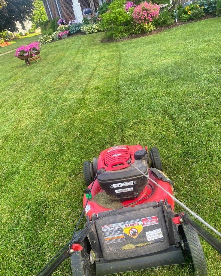 LAWN MOWING SERVICE
