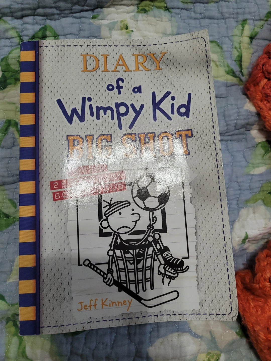 Diary of a Wimpy Kid: Big Shot Book