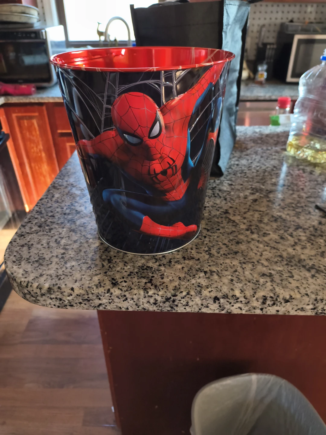 Spider-Man Grand New Day Movie Bucket