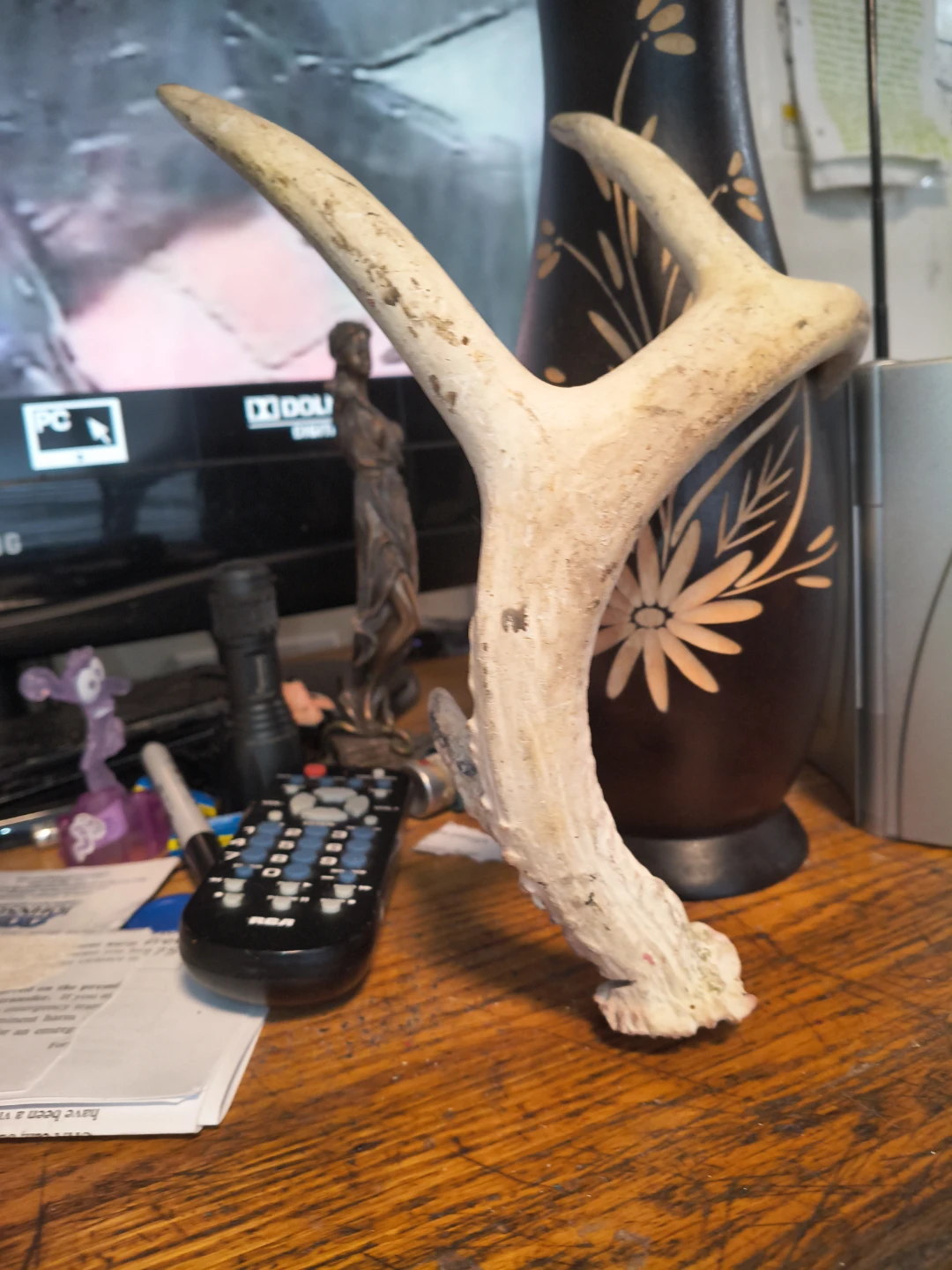 Deer Antler