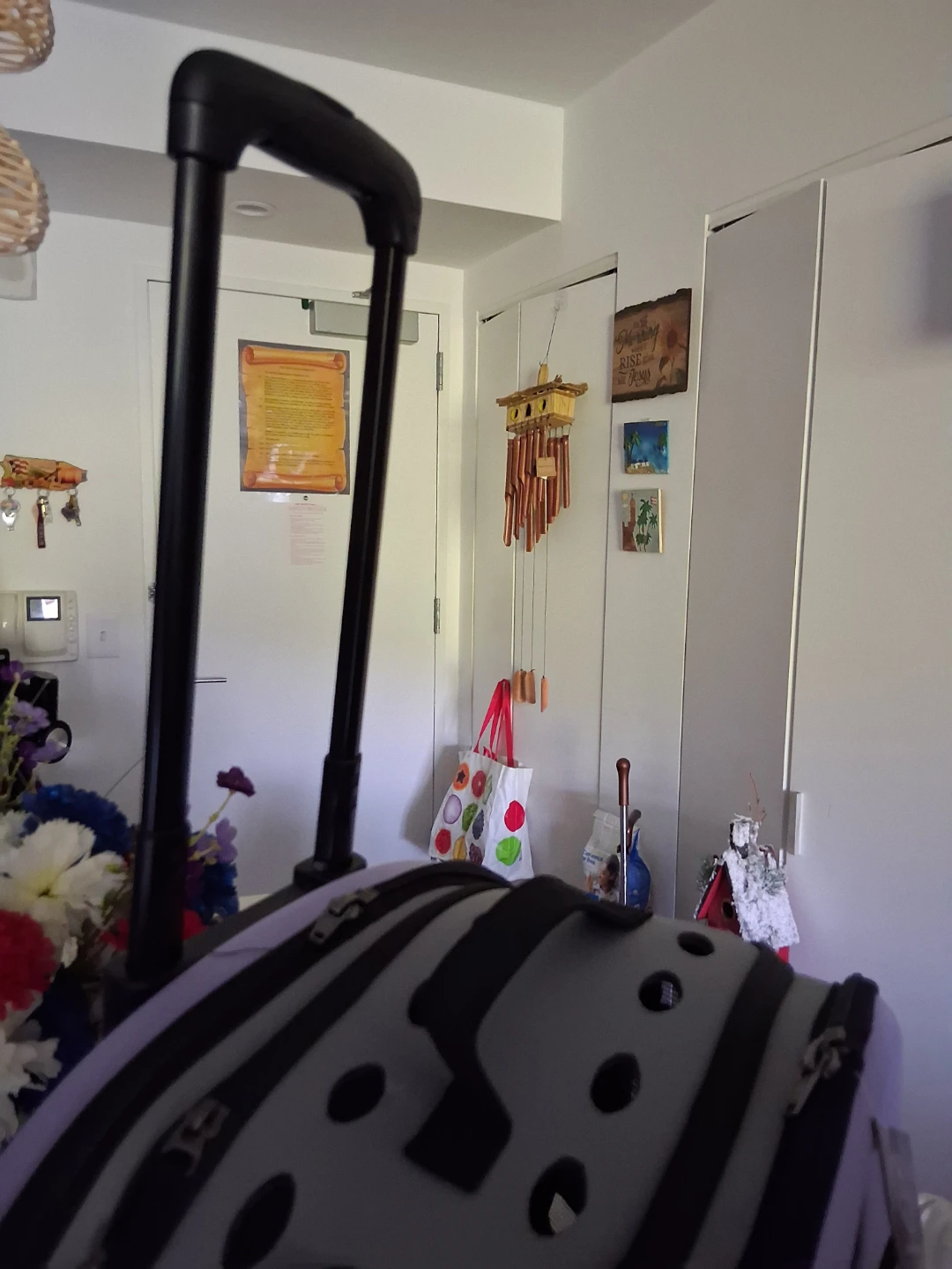 Pet Carrier Bag - photo 2