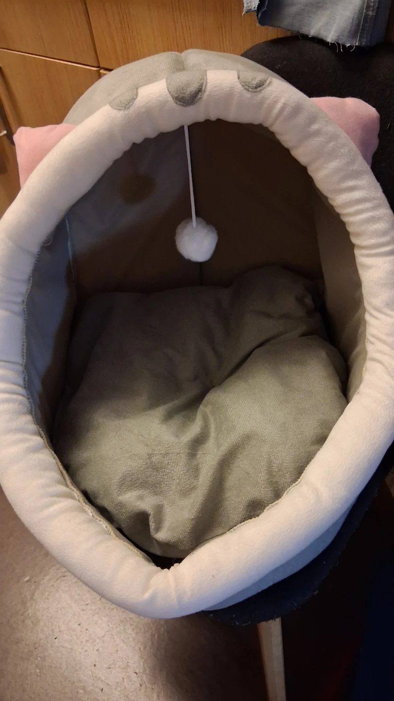 Cat Bed with Dangling Toy