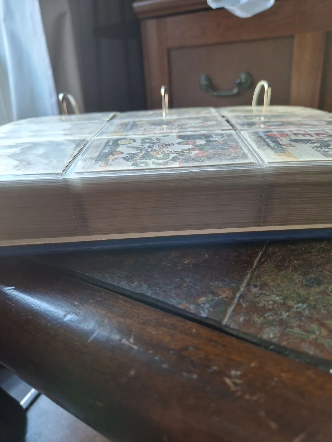 Pro Set Hockey Card Collection Binder with approx 500 cards - photo 3