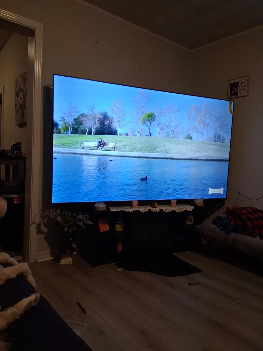 Large Flat Screen TV