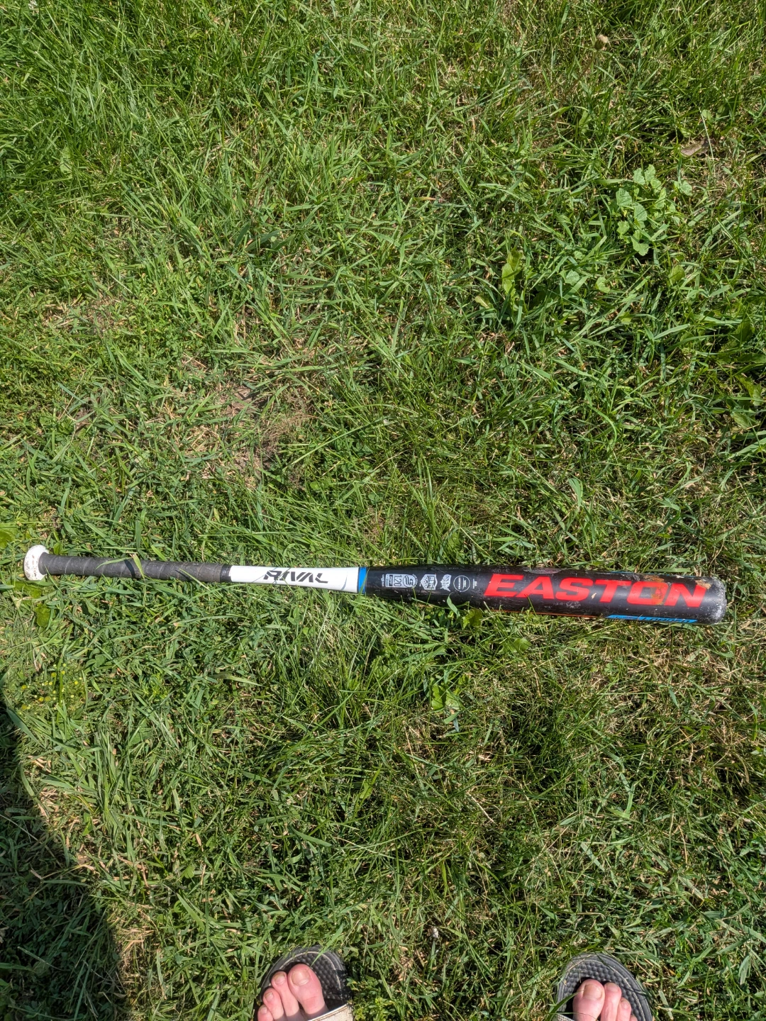 Easton Rival Baseball Bat