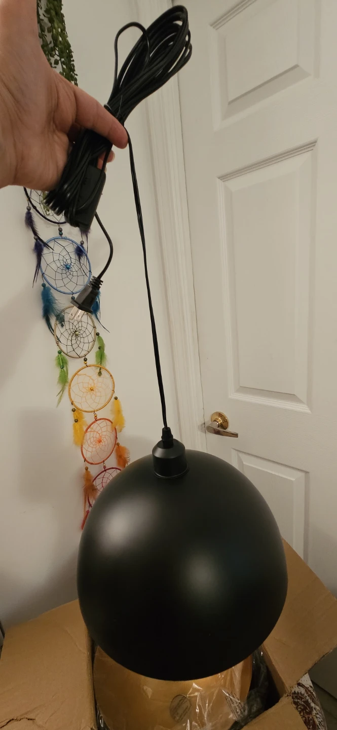 Black Dome Pendant Light with Gold Interior