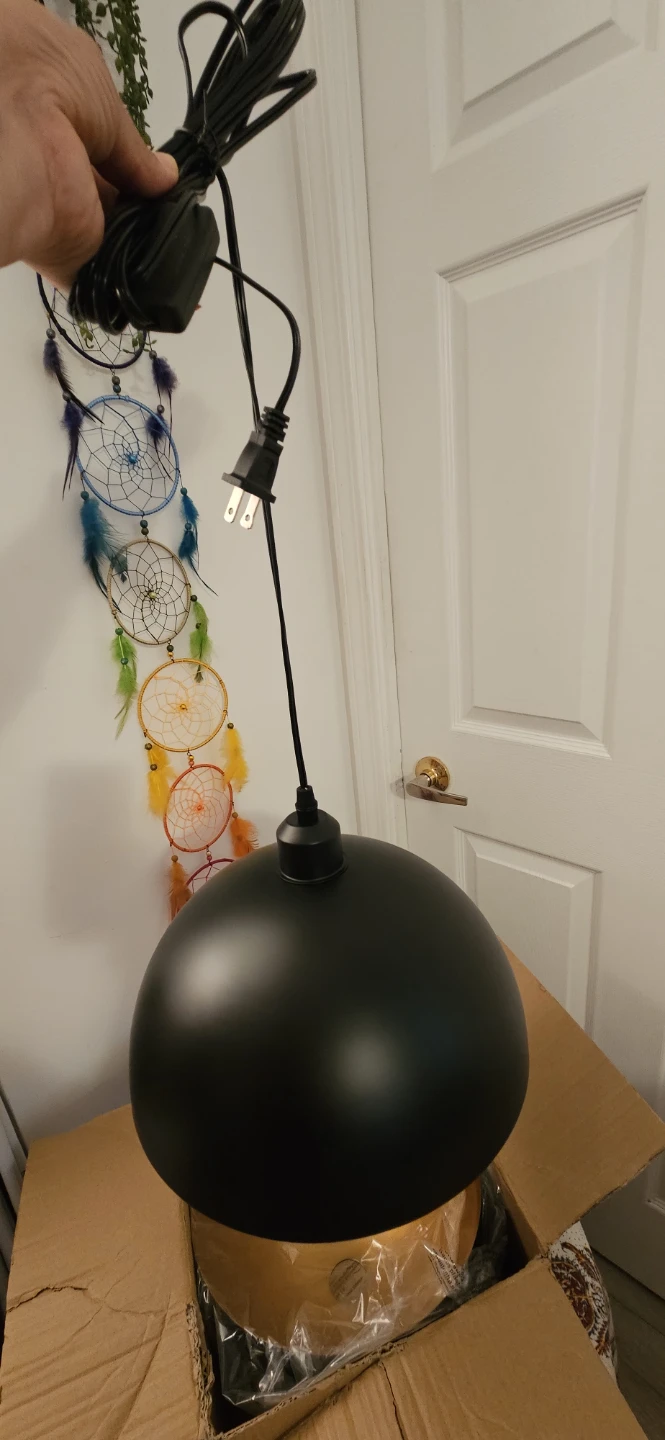 Black Dome Pendant Light with Gold Interior - photo 5