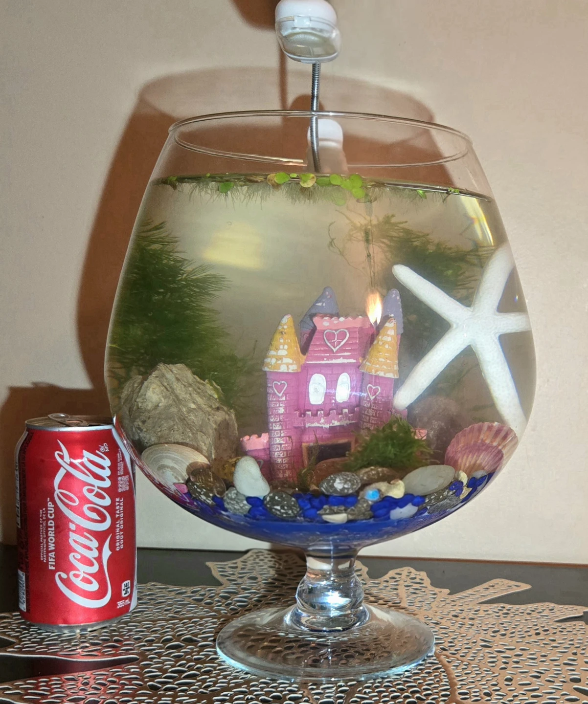 Brand New Aquarium Complete Setup - photo 2