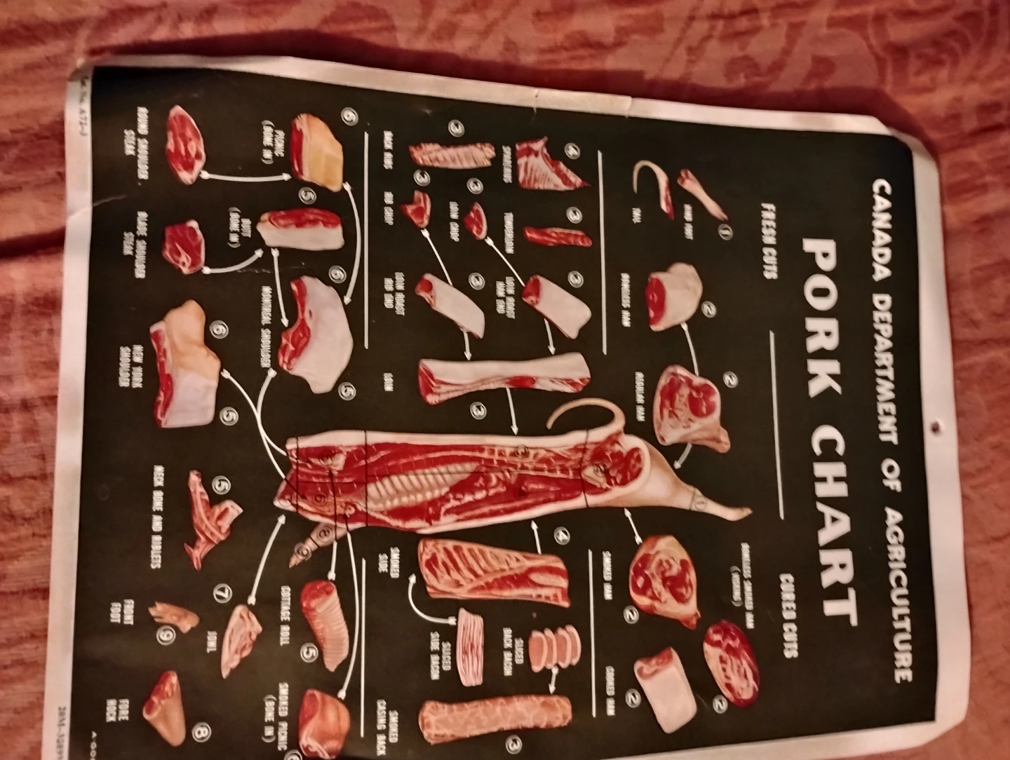 Olympic Bloc-Redi Meat Charts