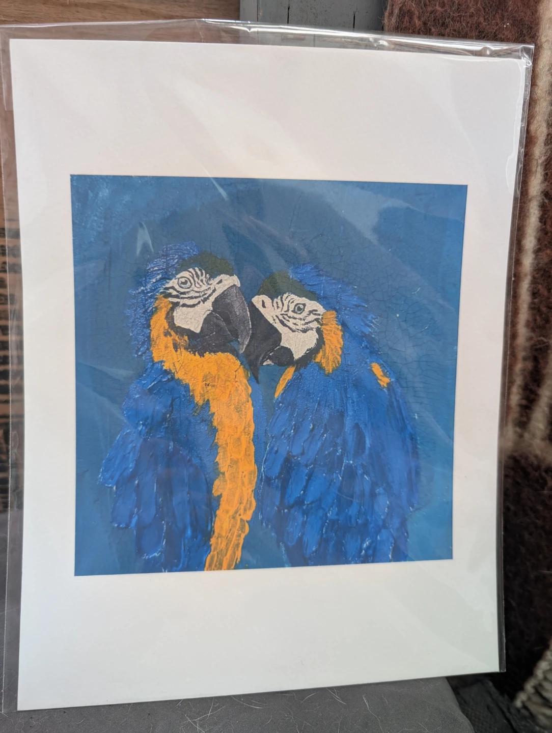 Painted Macaw Parrots print
