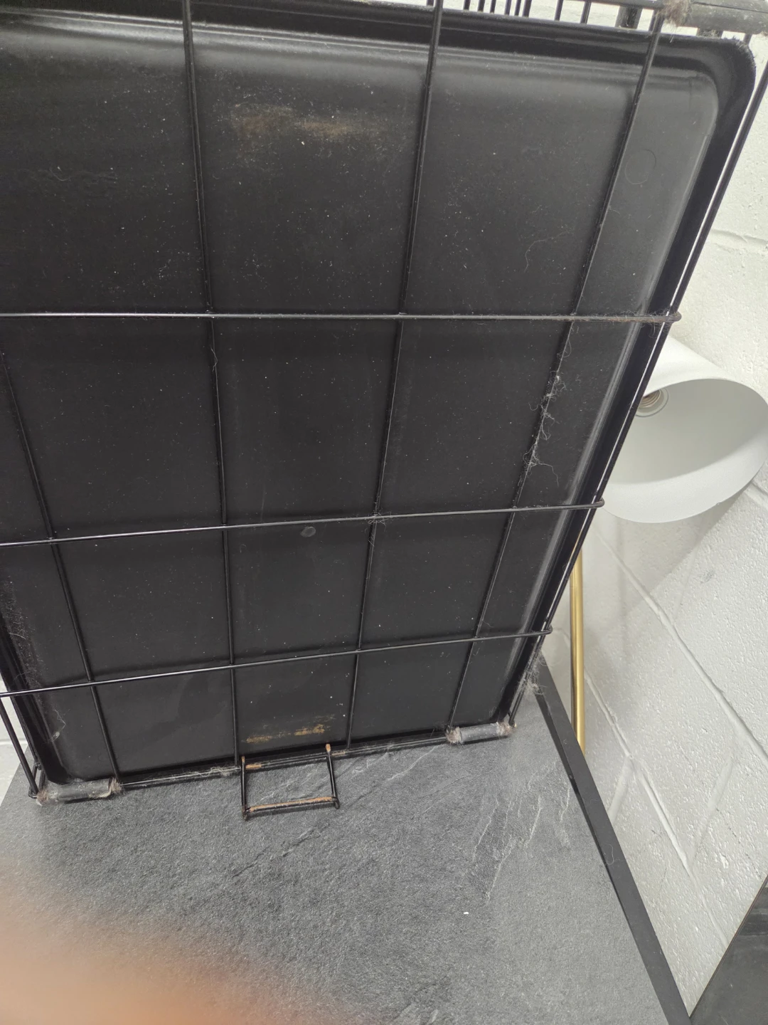 Wire Dog Crate with Black Tray - photo 4
