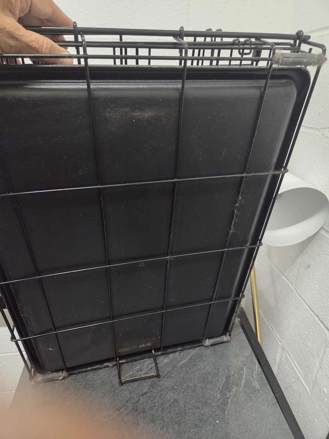 Wire Dog Crate with Black Tray - photo 5