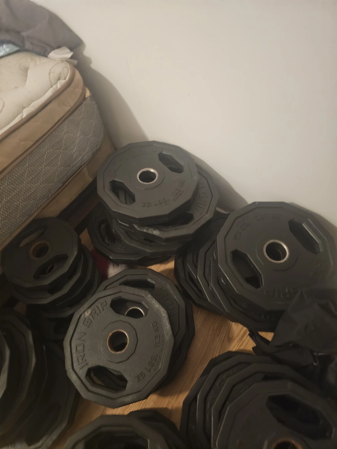 Iron Grip 25 lb Weight Plates
